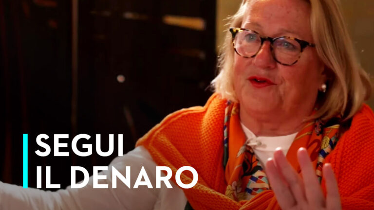 Catherine Austin Fitts, Commentary