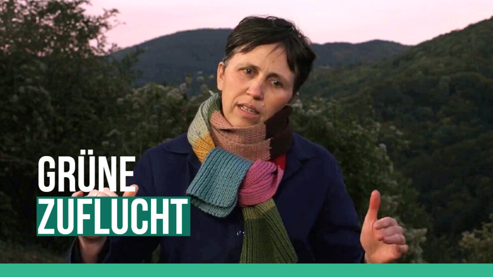 Laura Moustacakis | NARRATIVE Laura Moustacakis