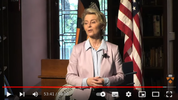 Direkte Kontrolle durch EU