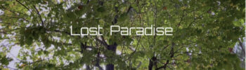 LOST PARADISE #2 | Prof. J. TRITTO