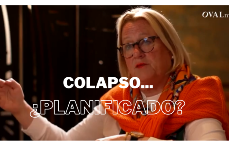 Catherine Austin Fitts, Finanzas, Economía, Digitalización, Política