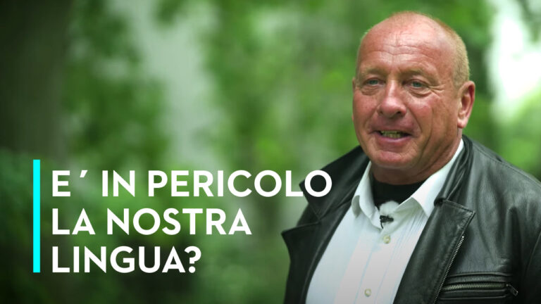 Cluse Krings, Commentary