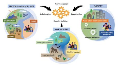 ”One Health”