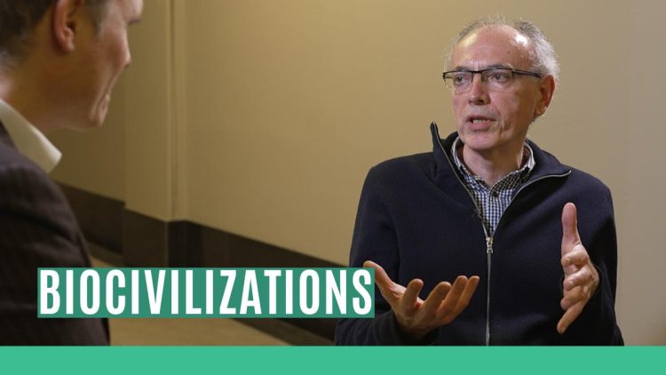 Dr. Predrag Slijepcevic from Brunel University London gives a new look at the science of life. Robert Cibis learns from the biologist how insects have a more sophisticated society than most mammals. Did you know that ants have hospitals and farming houses? What does it mean for our understanding of ourselves as humans? Do species have a common decentralized brain?