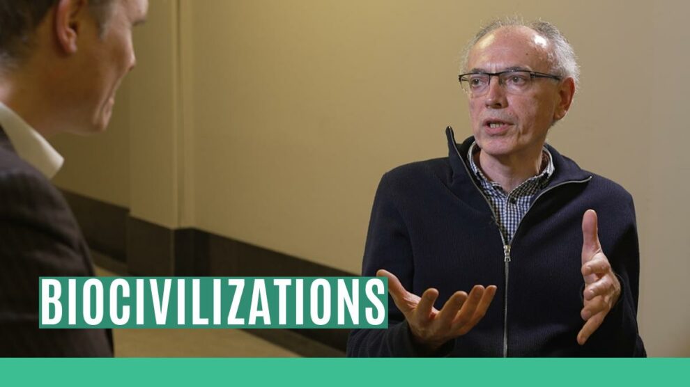 Dr. Predrag Slijepcevic from Brunel University London gives a new look at the science of life. Robert Cibis learns from the biologist how insects have a more sophisticated society than most mammals. Did you know that ants have hospitals and farming houses? What does it mean for our understanding of ourselves as humans? Do species have a common decentralized brain?
