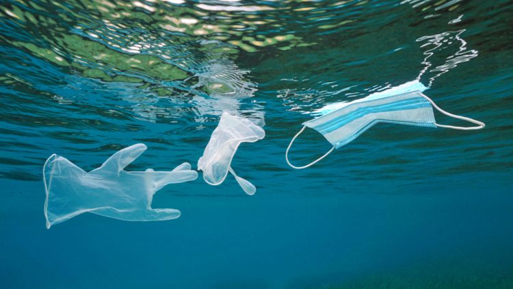 Collagen der Aufarbeitung