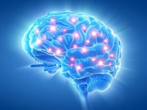 Mindspace – Guía de la manipulación del comportamiento