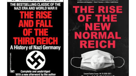 Two book covers: rise and fall of the 3rd Reich / rise of the new normal Reich