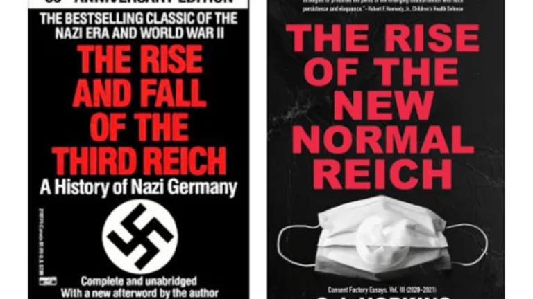 Two book covers: rise and fall of the 3rd Reich / rise of the new normal Reich