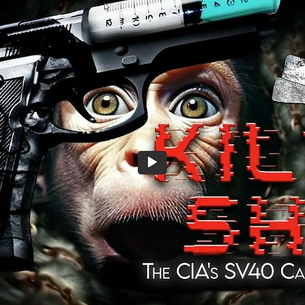 killshot Kill Shot Documentary