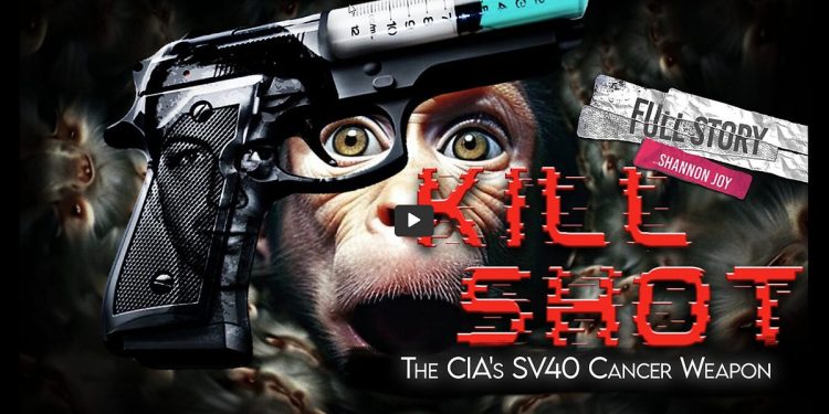 Kill Shot Documentary