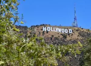 “Burn, Hollywood, burn”