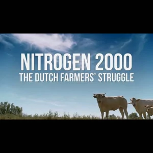 Nitrogen 2000