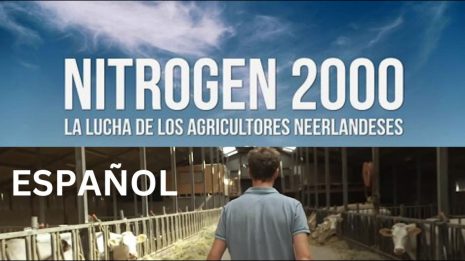 Nitrogen 2000